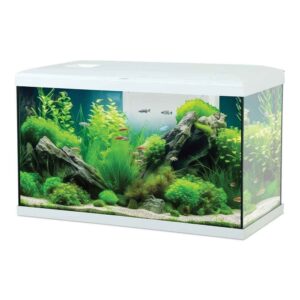 Zolux Acquario Tana 60 Led White - acquario 60 L - 60x30x42h cm completo di fltro, riscaldatore e illuminazione a led - bianco