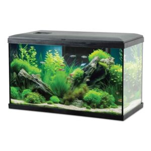 Zolux Acquario Tana 60 Led Black - acquario 60 L - 60x30x42h cm completo di fltro, riscaldatore e illuminazione a led - nero