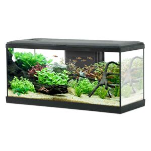Zolux Acquario Tana 80 Led Black - acquario 84 Lt - 81x31,5x42,5h cm completo di fltro, riscaldatore e led - nero