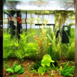 Cubo 30 lt