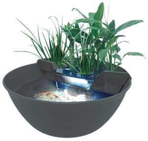 Mini Pond
