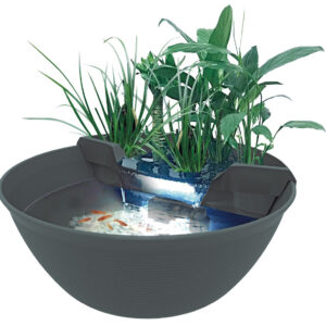 Mini Pond