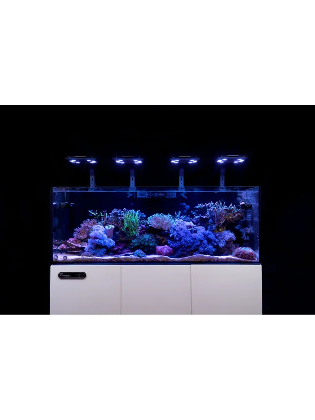 Maxspect MJ-L260 - Plafoniera a led 60w Blue Edition Jump - staffa compresa - per acquari marini reef 40x40 cm - immagine 4