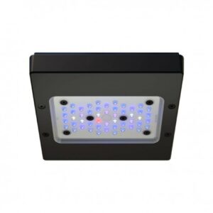 Ecotech Marine Radion XR15 G6 Blue - Plafoniera per acquario marino reef 115 watt