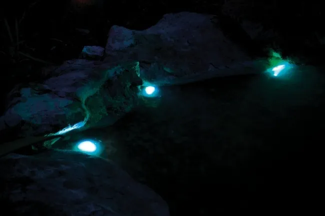 Amtra Pond Halo 3 Led - faretti led con lenti colorate per laghetto