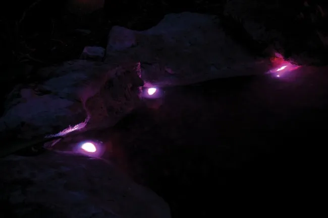 Amtra Pond Halo 3 Led - faretti led con lenti colorate per laghetto