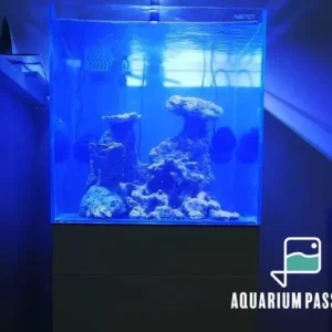 Nano reef 125 litri completo di tecnica: skimmer, filtro a zainetto, pompe di movimento e plafoniera led Amtra Vega Led Reef