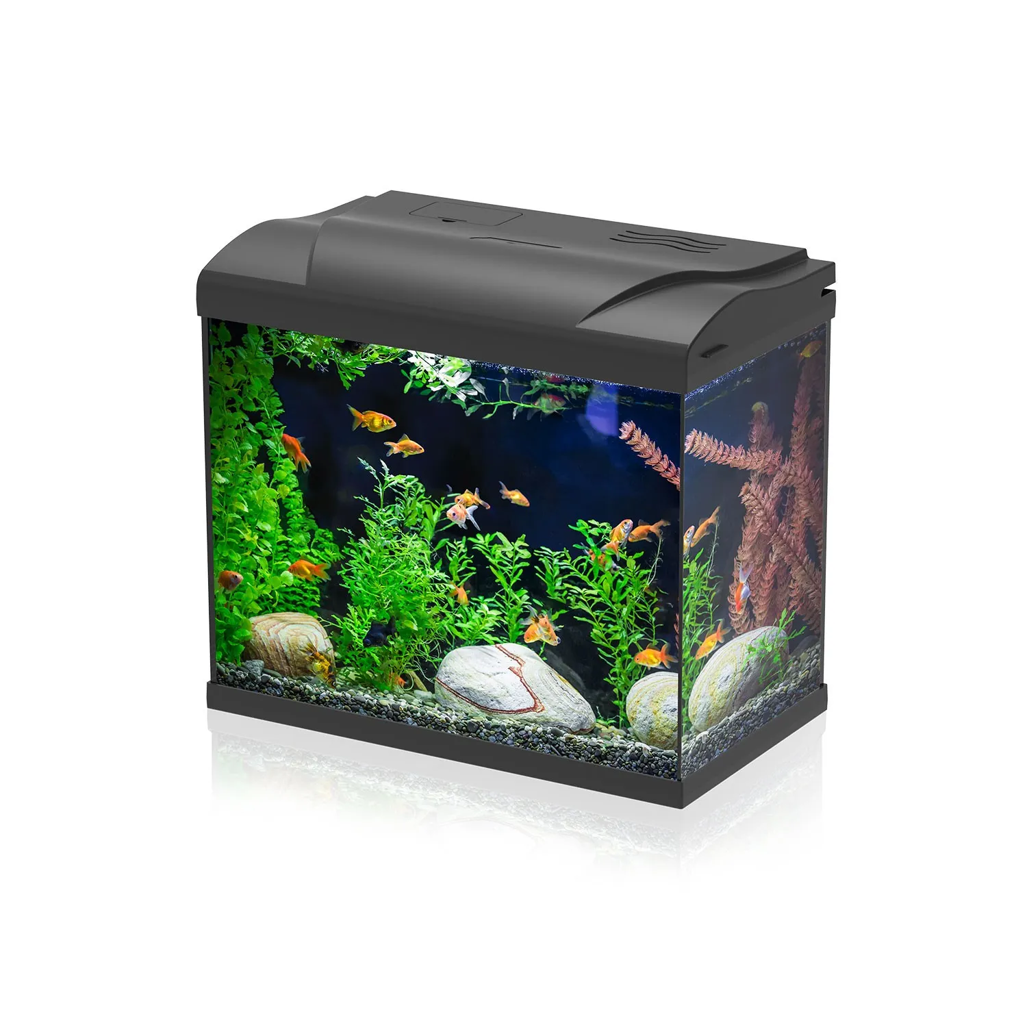 Aqpet Simply Led 30 Nero - Acquario 30 lt - 39x22x30h cm completo di luce e filtro con materiali filtranti