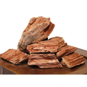 Roccia Legno Fossile S - 1 pz - circa 6-10 cm - Radiale rossa piccola - inerte