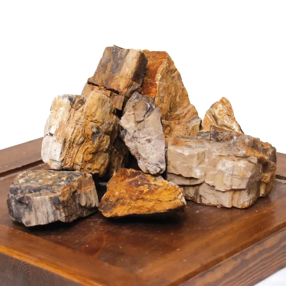 Roccia petrified Xs - 1 pz da circa 6x8 cm - inerte