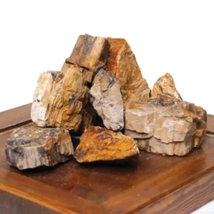 Roccia petrified Sm - 1 pz da circa 8x12 cm - inerte