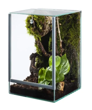 Terrari/Paludari.