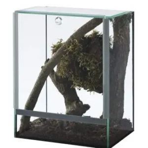 Diversa Nano Terrario Spider 20x15x25h cm - acquaterrario, paludario, terracquario