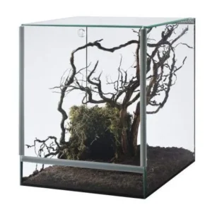 Diversa Nano Terrario Spider 20x20x30h cm - acquaterrario, paludario, terracquario