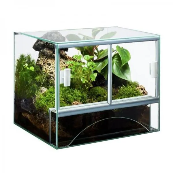 Diversa Terrario 40x30x30h cm - acquaterrario, paludario, terracquario