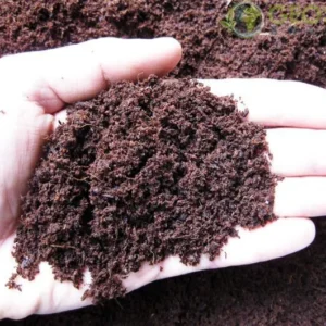 Fibra di cocco - terriccio 0-10 mm - 5 lt per fondo terrario bioattivo, paludario, terracquario, acquaterrario o presepe