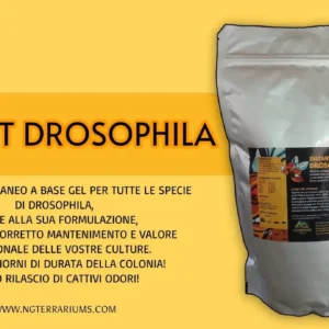 Ng Terrariums Instant Drosophila media 1Kg - pappone per allevamento moscerini della frutta