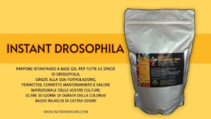 Ng Terrariums Instant Drosophila media 2Kg - pappone per allevamento moscerini della frutta