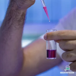 Test dolce (NO SPEDIZIONE - SOLO RITIRO IN SEDE) - portare bottiglietta d'acqua dell'acquario