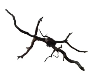 LEGNO Black Spider King M - Medium 30-40 cm, Black Wood - radice ornamentale nera finemente ramificata