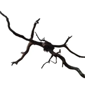 LEGNO Black Spider King M - Medium 30-40 cm, Black Wood - radice ornamentale nera finemente ramificata