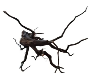 LEGNO Black Spider King L - Large 40-50 cm, Black Wood - radice ornamentale nera finemente ramificata