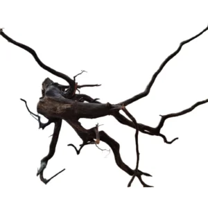 LEGNO Black Spider King L - Large 40-50 cm, Black Wood - radice ornamentale nera finemente ramificata