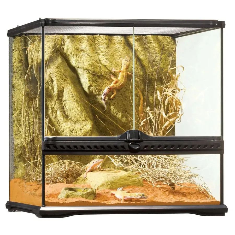 Exo Terra Glass Natural Terrarium Small Wide 45x45x45 cm - terrario - acquaterrario, paludario, terracquario