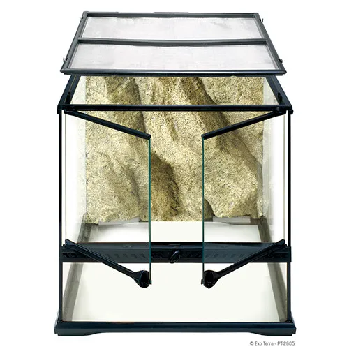 Exo Terra Glass Natural Terrarium Small Wide 45x45x45 cm - terrario - acquaterrario, paludario, terracquario