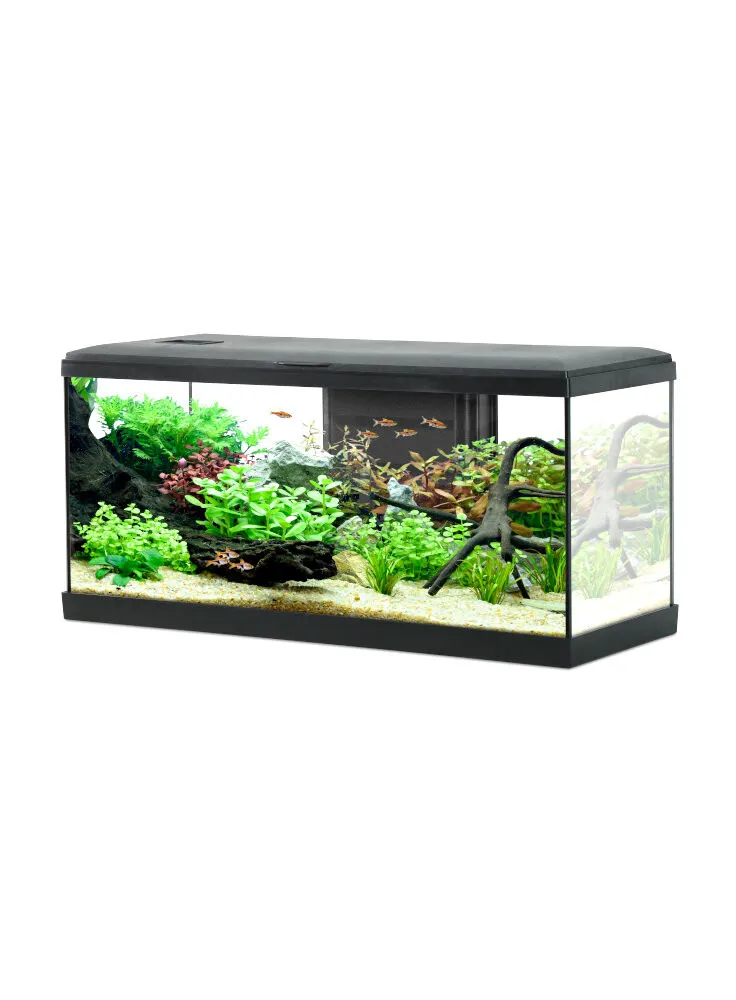 Zolux Acquario Tana 80 Led Black - acquario 84 Lt - 81x31,5x42,5h cm completo di fltro, riscaldatore e led - nero