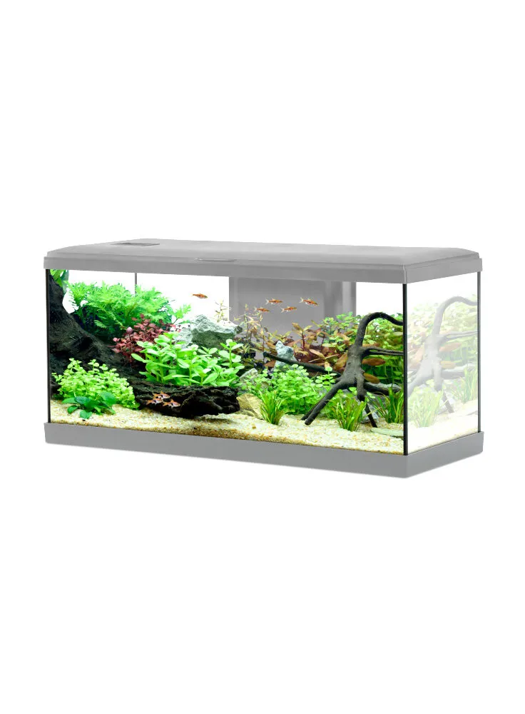 Zolux Acquario Tana 80 Led White - acquario 84 Lt - 81x31,5x42,5h cm completo di fltro, riscaldatore e led - bianco
