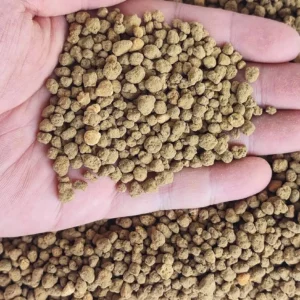 Akadama Hard Quality Ibaraki 2-5 mm - 2 lt per fondo terrario, paludario, terracquario, acquario, bonsai e piante carnivore