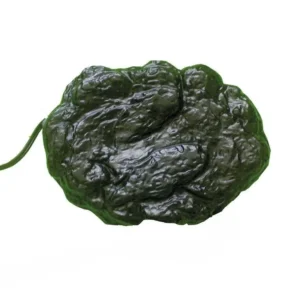 ReptiZoo Repti Heat Rocks 24 watt – Roccia riscaldante 29x20 cm per rettili terrario