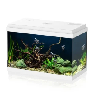 Aqpet Simply Led 60 Bianco - Acquario 60 lt - 59x30x39h cm completo di luce, termoriscaldatore e filtro con materiali filtranti