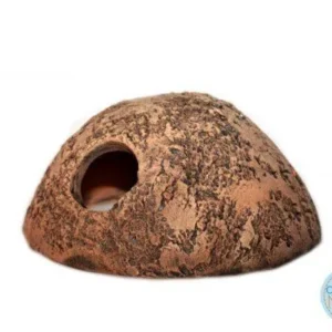 Ceramic Nature Iglù XS 10x10x4,5 cm foro 3 cm - tana forata per ciclidi, loricaridi, pesci e gamberi o terrario - Igloo