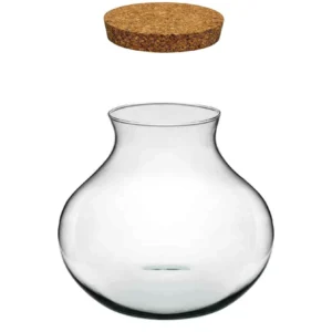 Bottle Garden – Terrario Anfora per Terrario in vetro 26x24h cm - con coperchio in sughero