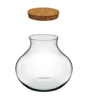 Bottle Garden – Terrario Anfora per Terrario in vetro 26x24h cm - con coperchio in sughero