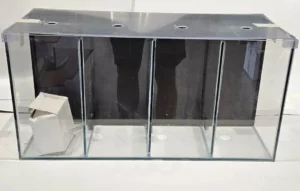 Bettiera artigianale in vetro con filtro biologico - 4 scomparimenti - 50x20x25h cm - 25 lt + pompa e coperchio in plexiglass