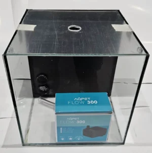 Bettiera artigianale in vetro con vano filtro - 1 scomparimento - 20x20x20h cm - 8 lt - con pompa e coperchio in plexiglass