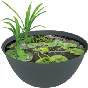 SuperFish Medaka Bowl 600 - Mini Pond 30 lt - 60x25h cm - mastello ciotola per terrazzo, giardino o interno per medaka