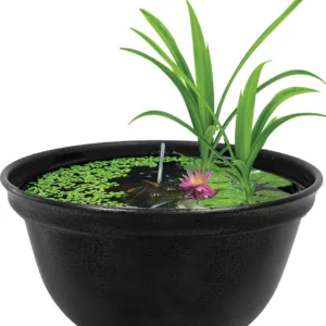 SuperFish Medaka Bowl 420 - Mini Pond 16 lt - 42x20h cm - mastello ciotola per terrazzo, giardino o interno per medaka