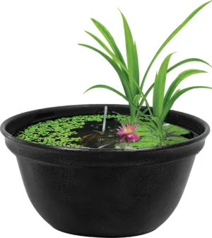SuperFish Medaka Bowl 420 - Mini Pond 16 lt - 42x20h cm - mastello ciotola per terrazzo, giardino o interno per medaka