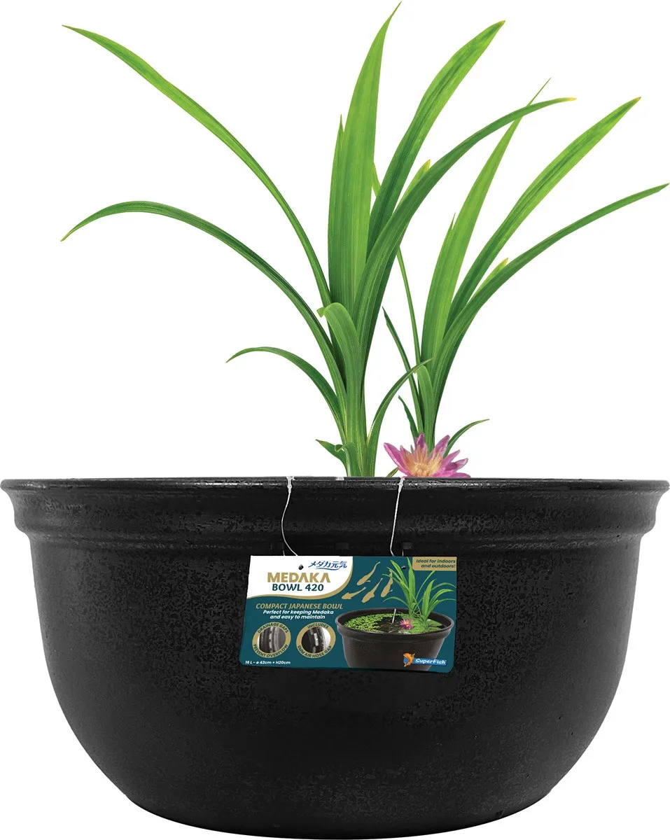 SuperFish Medaka Bowl 420 - Mini Pond 16 lt - 42x20h cm - mastello ciotola per terrazzo, giardino o interno per medaka