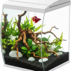 Aqpet CurVe Led 35 lt Bianco - Acquario 35 lt - 30.2x33.5x42.5h cm completo di luce e filtro con materiali filtranti