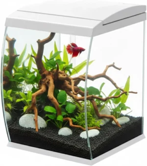 Aqpet CurVe Led 35 lt Bianco - Acquario 35 lt - 30.2x33.5x42.5h cm completo di luce e filtro con materiali filtranti