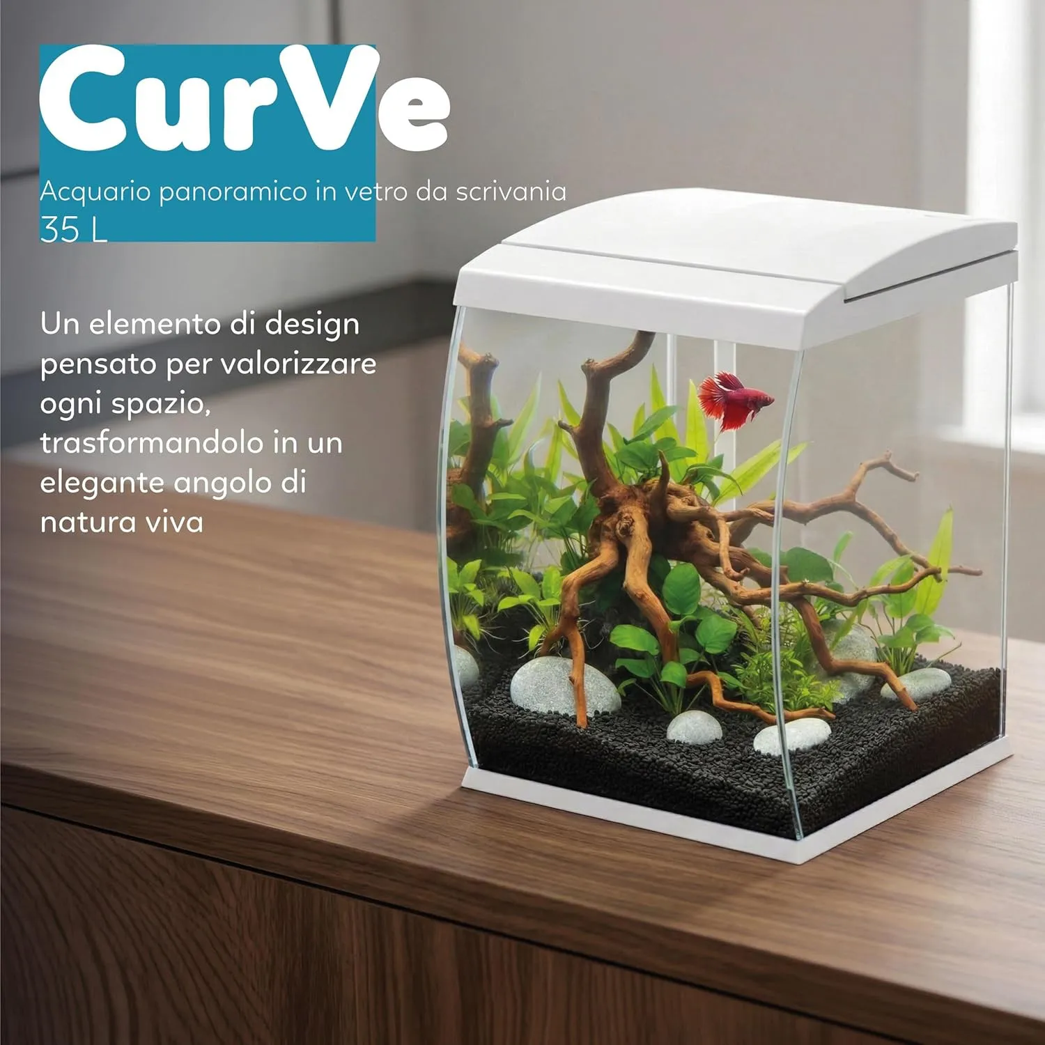 Aqpet CurVe Led 35 lt Bianco - Acquario 35 lt - 30.2x33.5x42.5h cm completo di luce e filtro con materiali filtranti