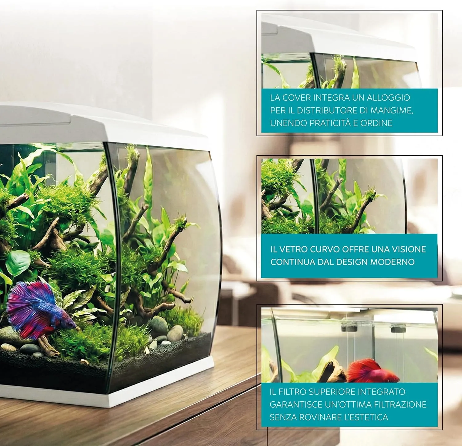 Aqpet CurVe Led 35 lt Bianco - Acquario 35 lt - 30.2x33.5x42.5h cm completo di luce e filtro con materiali filtranti