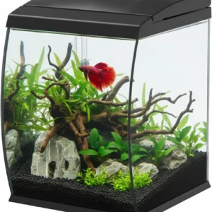 Aqpet CurVe Led 35 lt Nero - Acquario 35 lt - 30.2x33.5x42.5h cm completo di luce e filtro con materiali filtranti