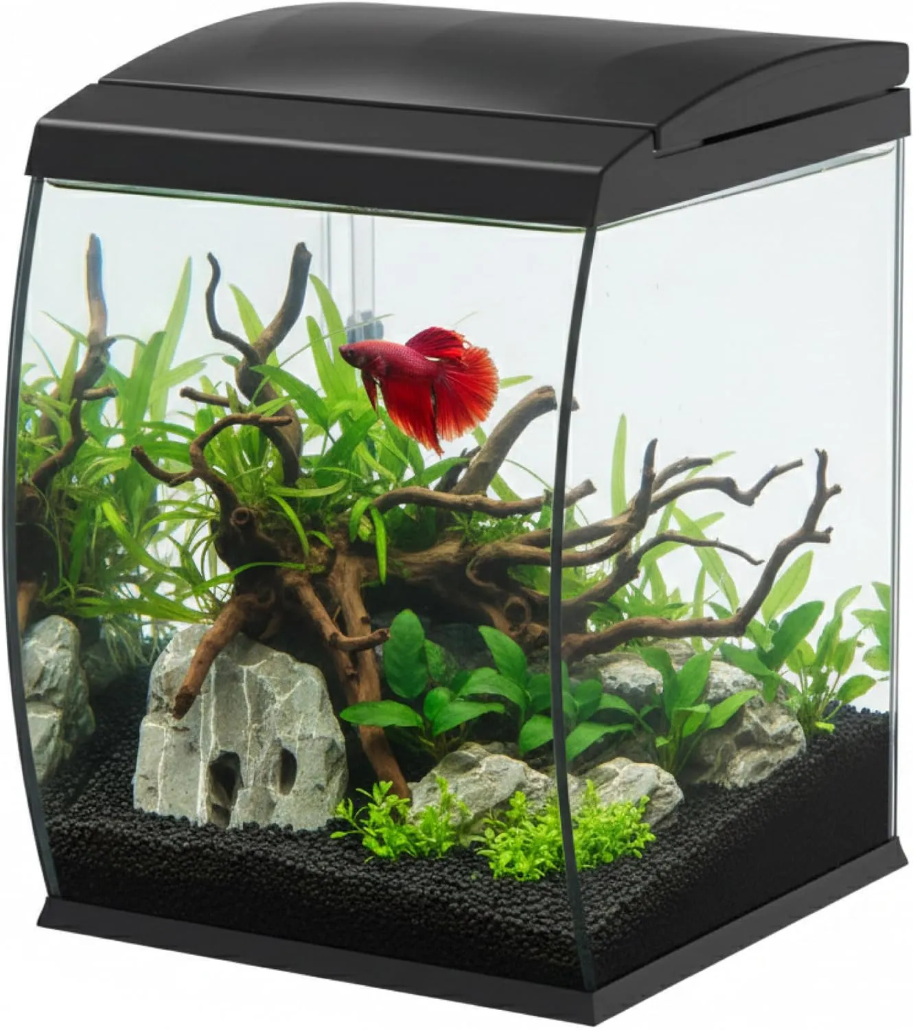 Aqpet CurVe Led 35 lt Nero - Acquario 35 lt - 30.2x33.5x42.5h cm completo di luce e filtro con materiali filtranti