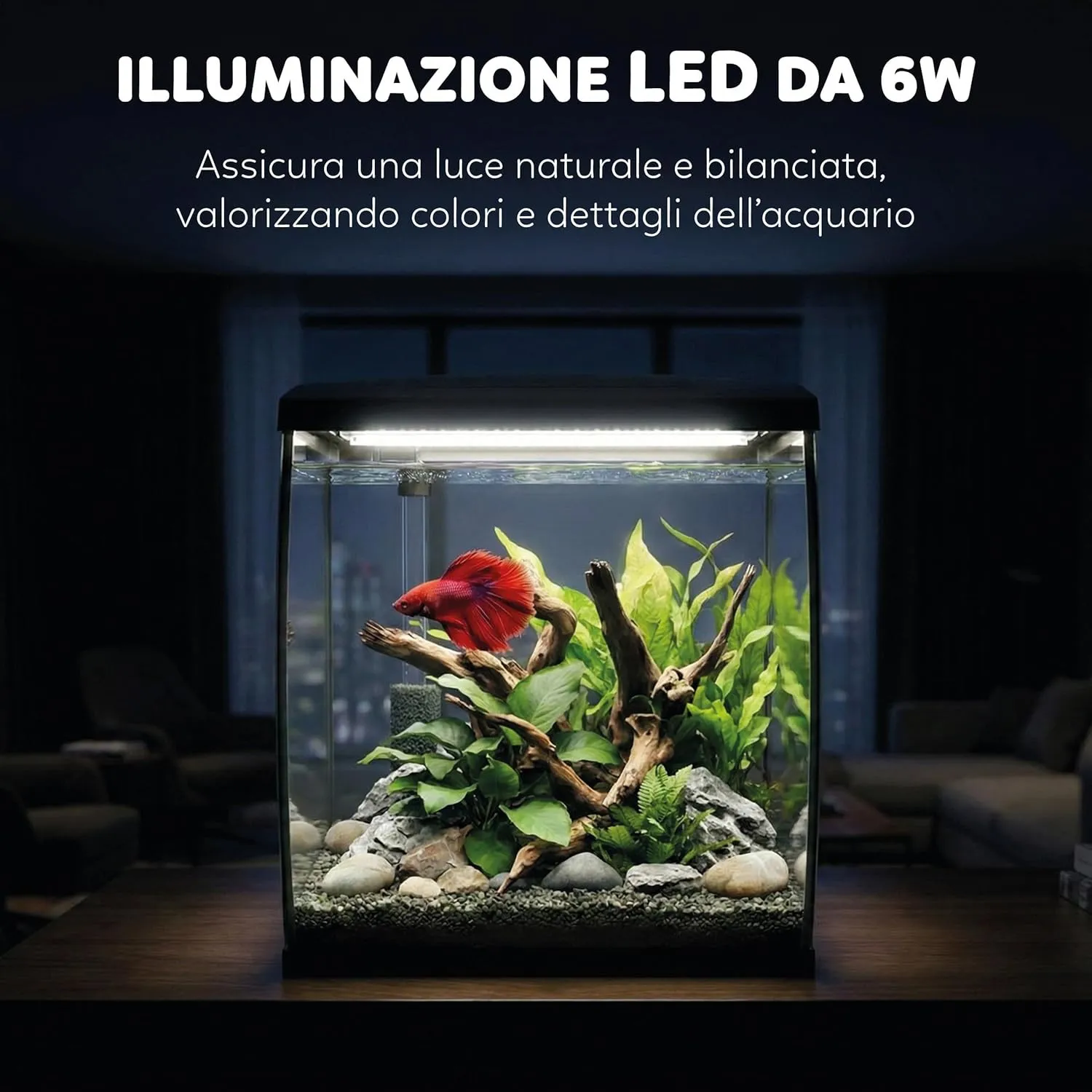 Aqpet CurVe Led 35 lt Nero - Acquario 35 lt - 30.2x33.5x42.5h cm completo di luce e filtro con materiali filtranti